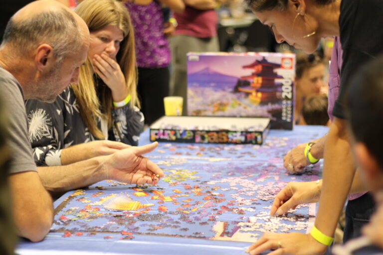 GF11 - public - defi puzzle